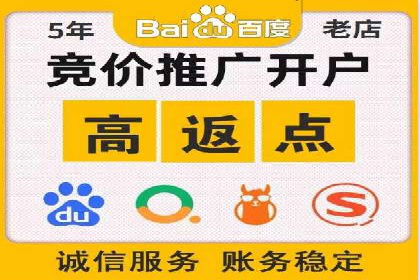 SEM公司案例研究：数据驱动营销策略
